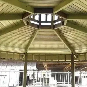 Ahşap kamelya çatı görseli