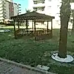 Palmiye ağaçları arasında yerleri çim olan bahçede konumlandırılmış altıgen kamelya görseli