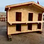 Kedi Evi Yan Görsel