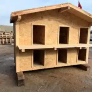 Kedi Evi Yan Görsel