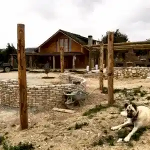 Tomruk ev uzak çekim