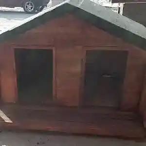 Çiftli Konfor: İkili Köpek Kulübesi