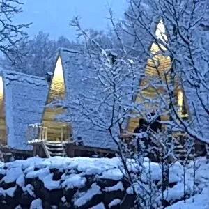 Üçgen Dik Çatı Ahşap Bungalov